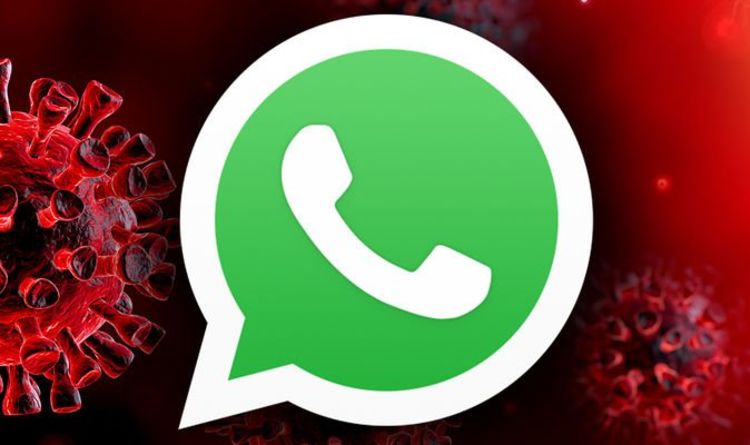 WhatsApp fact checking app