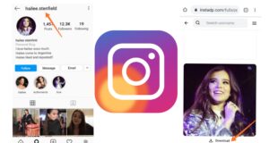 How to Download Instagram Profile Picture of Any Account