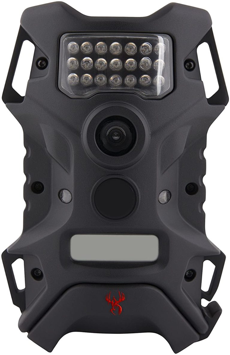 8 Best Trail Cameras Your Best Companion for Recording Wildlife