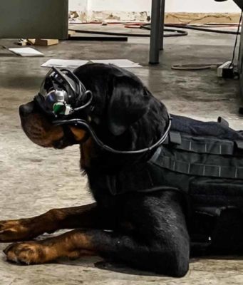 AR Goggles for Military Dogs