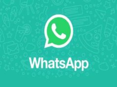 WhatsApp Beta Releases Advanced Wallpaper Features for Android