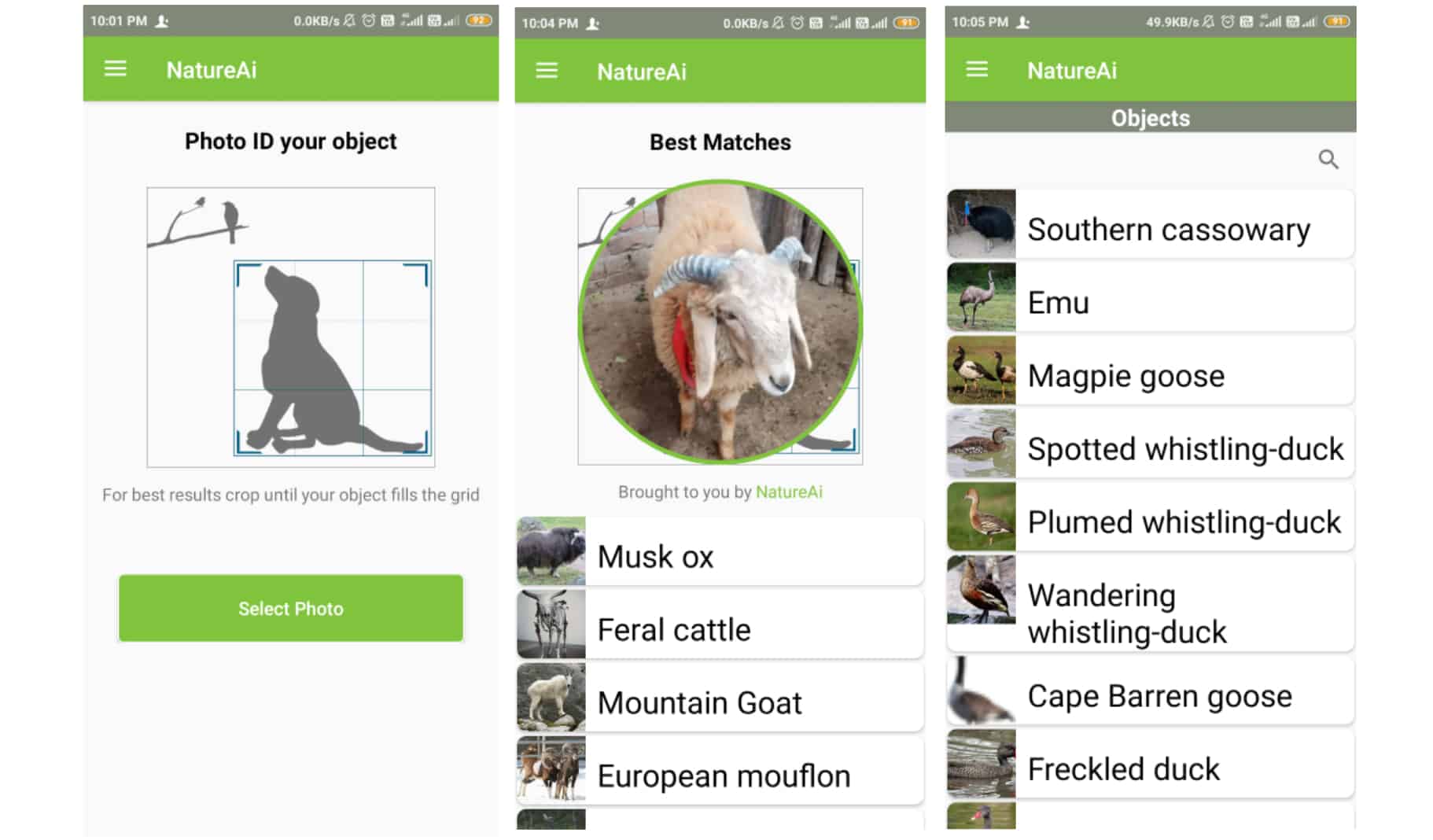 NatureAI Review: An App That Lets You Instantly Identify Animals, Birds, and More