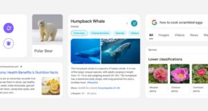 Google Search on Mobile to Get a Redesigned Look With Edge-to-Edge Search Results, More Focus on Important Information