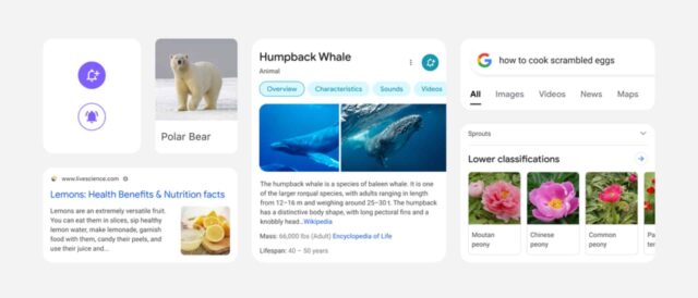 Google Search on Mobile to Get a Redesigned Look With Edge-to-Edge Search Results, More Focus on Important Information